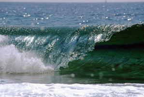 Photo / Thinkstock
