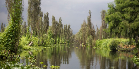 A canal in Xochimilco Lake in Mexico City. Photo / AP