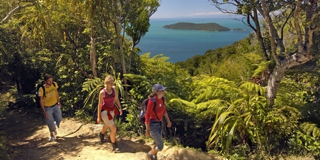 Walking the Queen Charlotte Track.