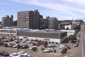 Wellington Hospital. Photo / Mark Mitchell