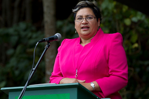 Green Party co-leader Metiria Turei announced the policy today. File photo / Brett Phibbs