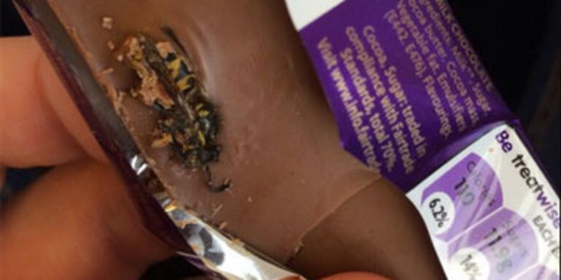 Cadbury finds a unique way to pack more protein into its chocolate bar. Photo / Jake Keating