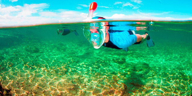 The Easybreath mask.