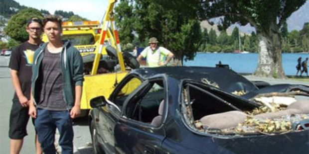 Nico Reiner (left) and Paul Zeller from Germany, say they are out of pocket after a tree in a Queenstown Lakes District Council park fell and crushed their car. Photo / Christina McDonald.