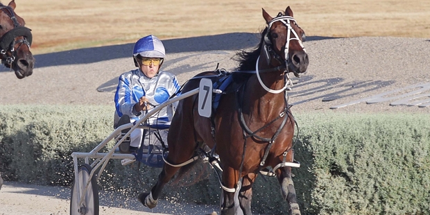 Our Maxim has drawn to lead in the Victoria Derby at Melton on Saturday night. Photo / Stuart McCormick