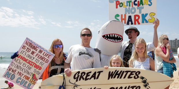Protesters on Manly Beach in Sydney joined others at home and abroad who objected to the new shark cull policy. Photo / AP