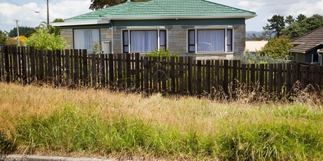 The overgrown grass berm at the intersection of Fir St and Seaside Ave in Waterview. Photo / Richard Robinson