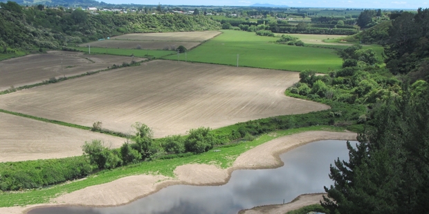 Farmers are being encouraged to create or restore wetlands on their land, such as this restoration project in Te Puke.