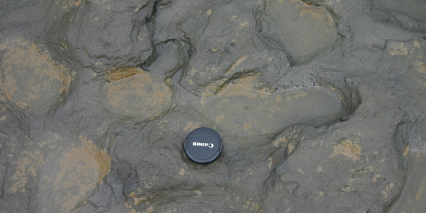 Human footprints, thought to be more than 800,000 years old, found in silt on the beach at Happisburgh. Photo / AP