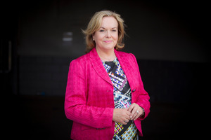 Judith Collins. Photo / Michael Craig
