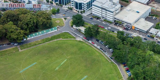 The Carlton Gore Rd office complex (second from right) overlooks the Auckland Domain.