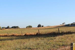 Councillors last week debated whether a 5.1ha block of land off Baverstock Rd should be listed for sale or included in the Waiwhakareke Natural Heritage Park. The land, pictured left of the houses, adjoins the park - the plantings on which are seen on the far left.
