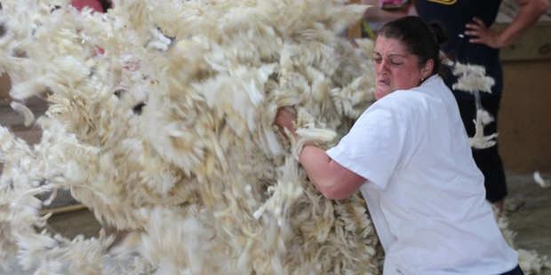 Woolhandler Karen Herbert shows her technique during the open shearing and woolhandling at the show.