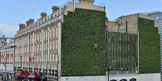 The Rubens at the Palace Hotel in London has a living wall.