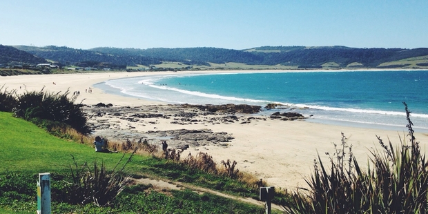 The attack happened at Porpoise Bay, which is near Curio Bay on the Southland coast.