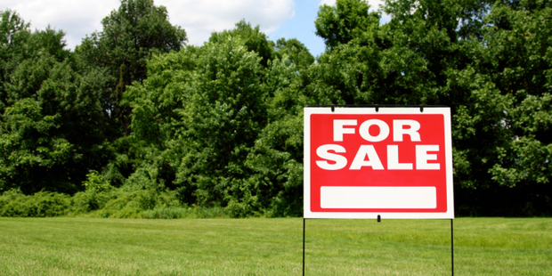 Photo / Thinkstock