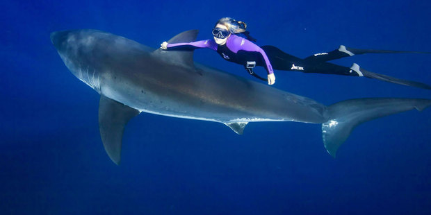 Ocean Ramsey is on a mission to change attitudes to sharks. Photo / oceanramsey.com
