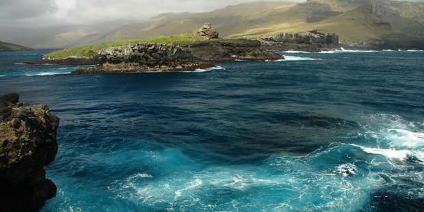 The remote Auckland Islands.
