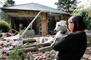 A woman and her dog survey her quake-hit home in Christchurch. File photo / Brett Phibbs