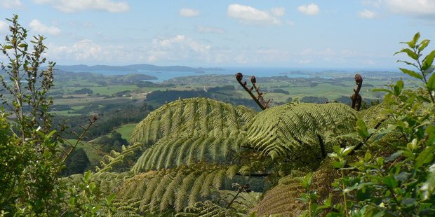 A view from the Dome Forest to Matakana walkway. Photo / Jim Eagles