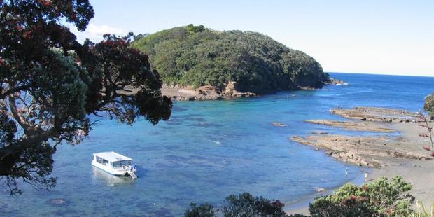 Goat Island Marine Reserve.