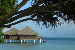 Te Tiare Resort's over-water bungalows. Photo / Nici Wickes.