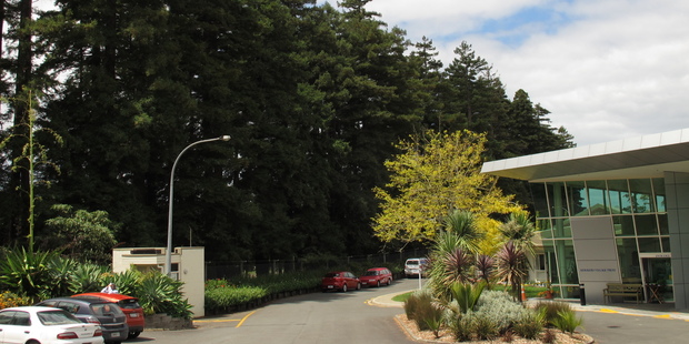 The redwoods along the boundary of Kerikeri Retirement Village have won a stay of execution.