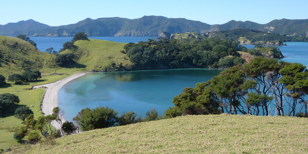 Gorgeous Urupukapuka Island is a stunning spot for a proposal. Photo / Megan Singleton