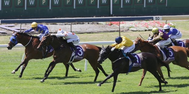 Silent Achiever (outer, gold silks, blue cap) wins by a hair's breadth at Ellerslie on Saturday.