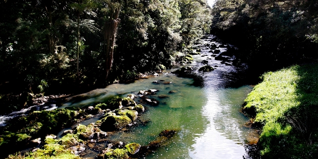 Whangarei's Parihaka and Hatea River Reserves have again been given an international Green Flag award. Photo/Michael Cunningham