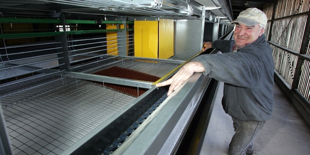 Laurie Horsfall measures the size of the units used for housing laying hens as the first stage of groundbreaking redevelopment of the former Clay's Poultry Farm facilities was being completed in 2008. Photo/File