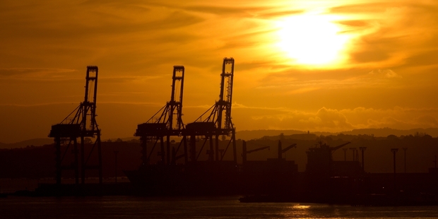 Ports of Auckland has been 'tipped on its head', according to chief executive Tony Gibson. Photo / Brett Phibbs