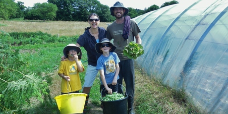 Picking vegetables for the market on a french organic farm.