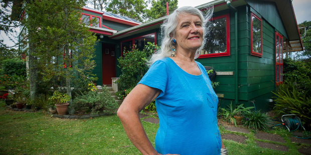 Linda Williams, who works from home, has installed solar panels and reduced her power bill by a third. Photo / Jason Dorday