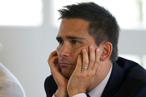Energy Minister Simon Bridges said if the scheme required a lower interest rate, it was a government subsidy. Photo / Sarah Ivey