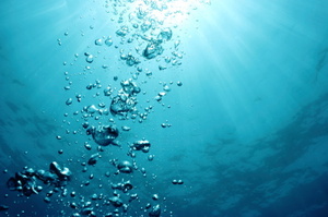 Photo / Thinkstock