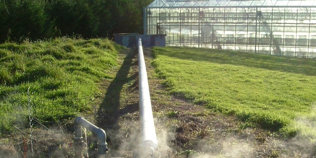 The Bay of Plenty is already dominant when it comes to geothermal energy. Photo/GNS Science