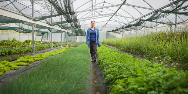 Sally Yu runs organic Fresh Gardens in Kumeu. Photo / Ted Baghurst
