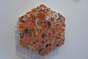 Work by Alison Staniland ; Hexagon Series.