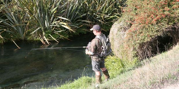 Dry flies can produce excellent results in small Waikato streams.