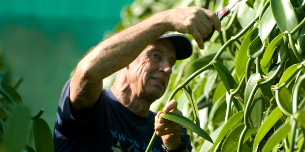 Heilala Vanilla founder John Ross in the company's vanilla plantation in Tonga.