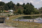 IMPROVEMENT: Oxidation ponds in CHB are being upgraded. The district's Mayor, Peter Butler (inset) said the ponds did meet current resource consent requirements.PHOTOS/FILE
IMPROVEMENT: Oxidation ponds in CHB are being upgraded. The district's Mayor, Peter Butler (inset) said the ponds did meet current resource consent requirements.PHOTOS/FILE