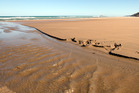 Ocean Beach Ocean Beach