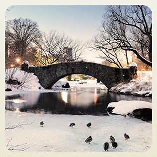 'NYC! Snow! #YouWishYouWereMe'. Photo / Thinkstock