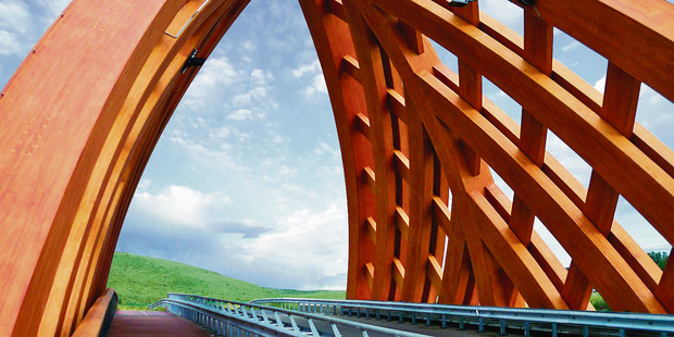 Accoya treated pine is a sustainable alternative to hardwood. Photo / Supplied