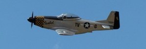 Mustang roars in