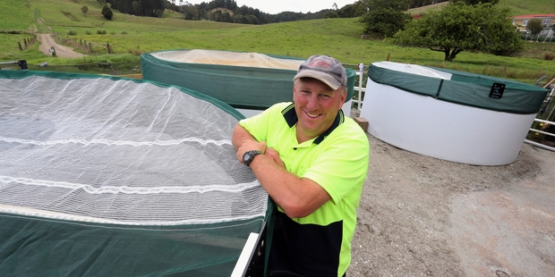 MILKING FISH: Ben Smith says the fish farming venture is not a quick fix, and needs time and resources. PHOTOS/JOHN STONE