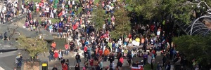 Protestors gather in Wellington.
Photo / John Weekes
