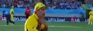 Glenn Maxwell taunts the crowd. Photo / Screengrab / Facebook
