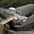 Mighty River Power shares rose 0.9 per cent yesterday to close at $3.45.